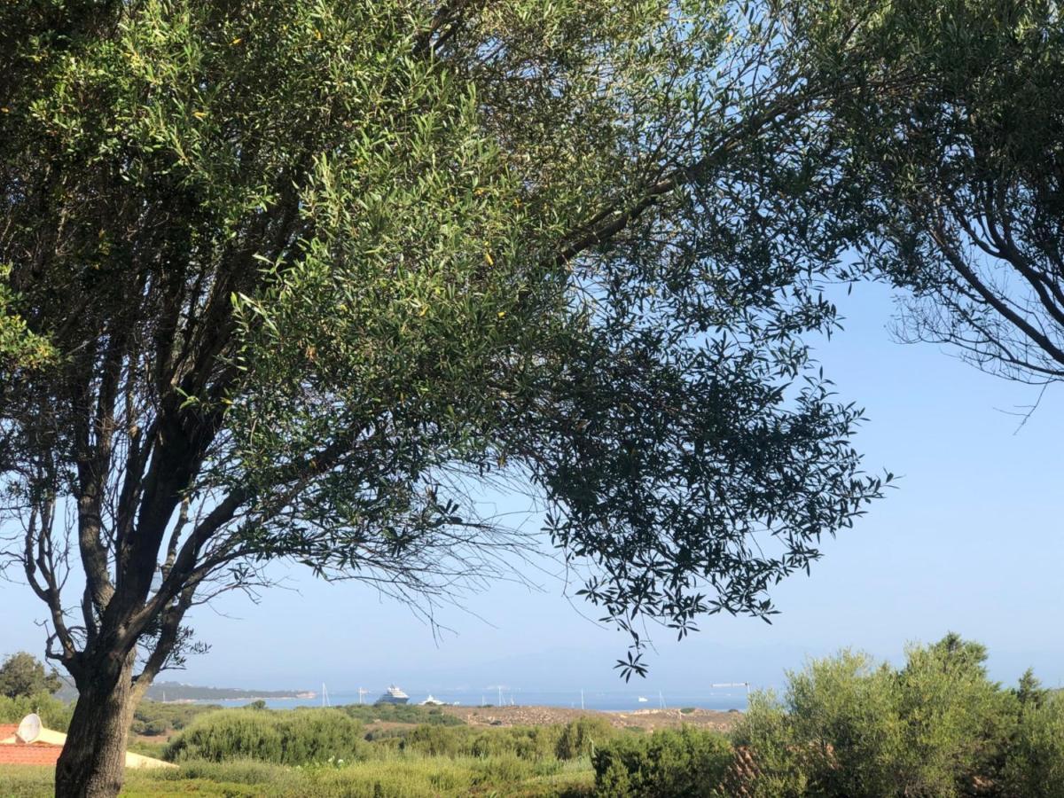Il Nido Dei Gabbiani Aparthotel Porto Pollo Εξωτερικό φωτογραφία